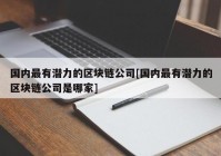 国内最有潜力的区块链公司[国内最有潜力的区块链公司是哪家]